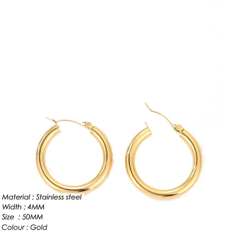 Goldiluxx Women's Stainless Steel Fabulous Personality Earrings