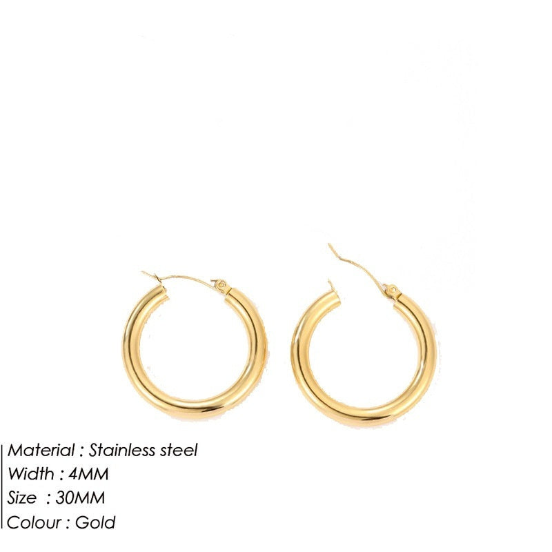 Goldiluxx Women's Stainless Steel Fabulous Personality Earrings